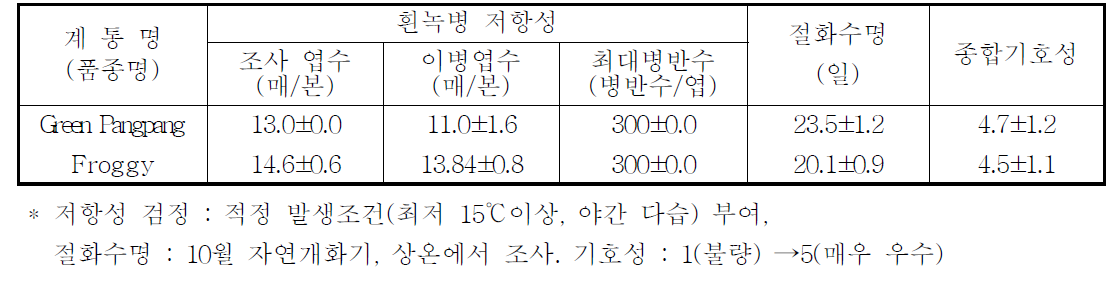 국화 ‘그린팡팡’ 흰녹병 저항성, 절화수명 및 기호성