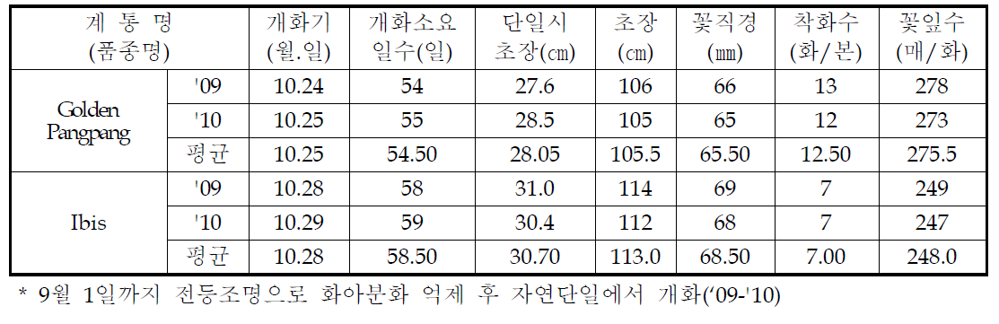 국화 ‘골든팡팡’ 가변특성