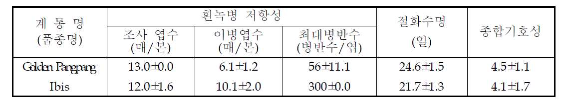 국화 ‘골든팡팡’ 흰녹병 저항성, 절화수명 및 기호성