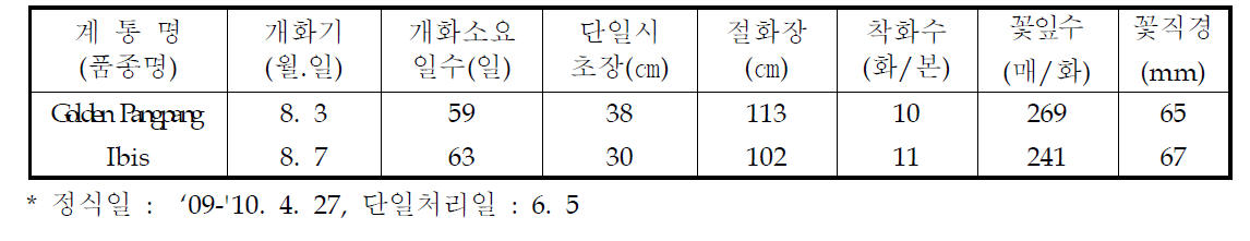 국화 ‘골든팡팡’ 하계 촉성재배 특성