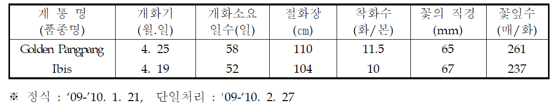 국화 ‘골든팡팡’ 춘계 억제재배 특성