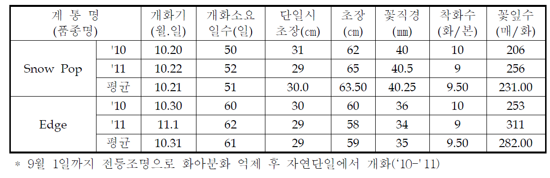 국화 ‘스노우팝’ 가변특성