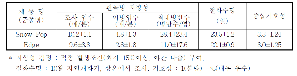 국화 ‘스노우팝’ 흰녹병 저항성, 절화수명 및 기호성