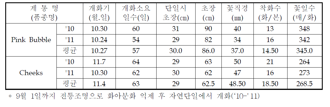 국화 ‘핑크버블’ 가변특성