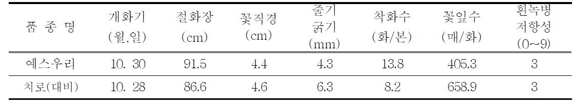 ‘예스우리’의 개화특성