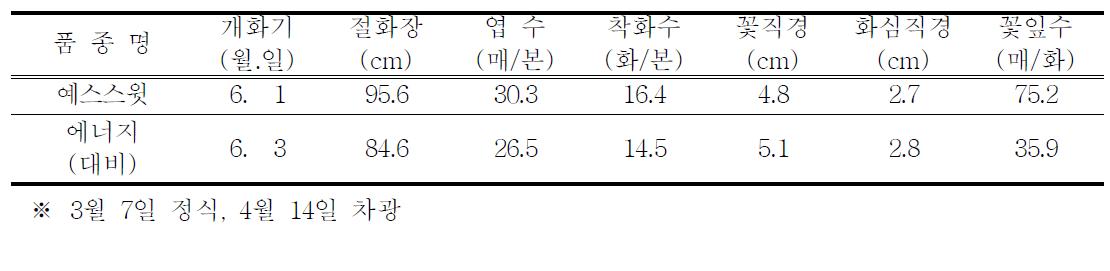 차광재배 특성