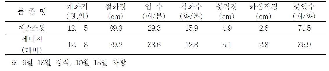 전조재배 특성