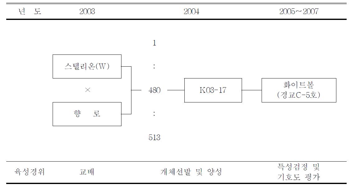 ‘화이트볼’ 품종의 육성과정