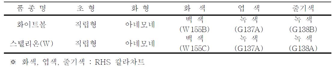 ‘화이트볼’ 품종의 고유특성