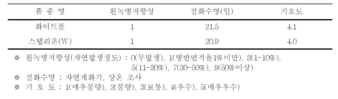 ‘화이트볼’ 품종의 흰녹병 저항성, 절화수명 및 기호도