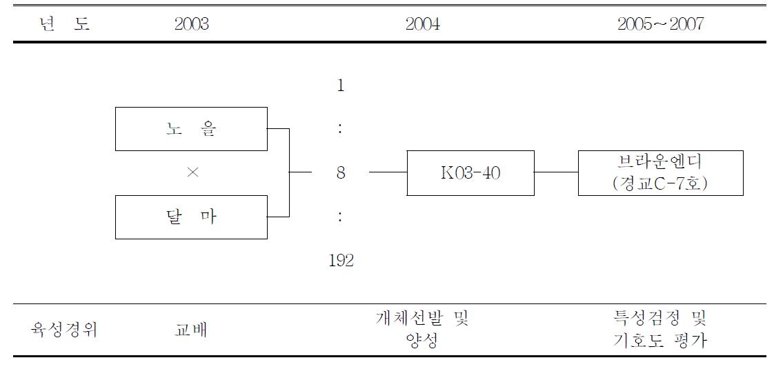 ‘브라운엔디’ 품종의 육성과정