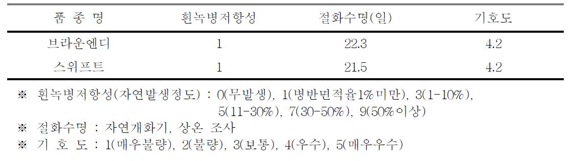 ‘브라운엔디’ 품종의 흰녹병 저항성, 절화수명 및 기호도