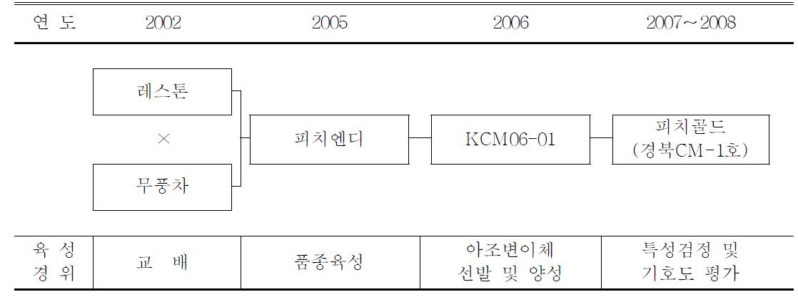 ‘피치골드’ 품종의 육성과정