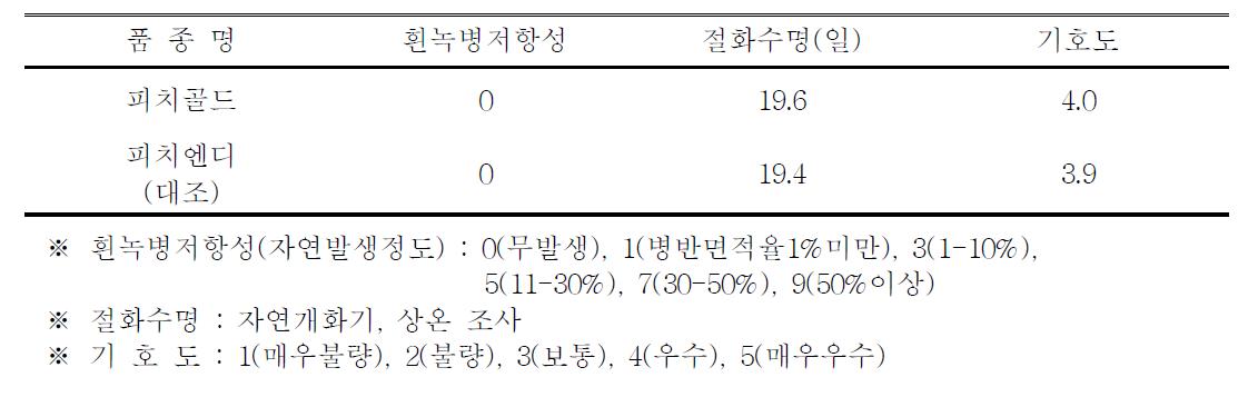 ‘피치골드’ 품종의 흰녹병 저항성, 절화수명 및 기호도