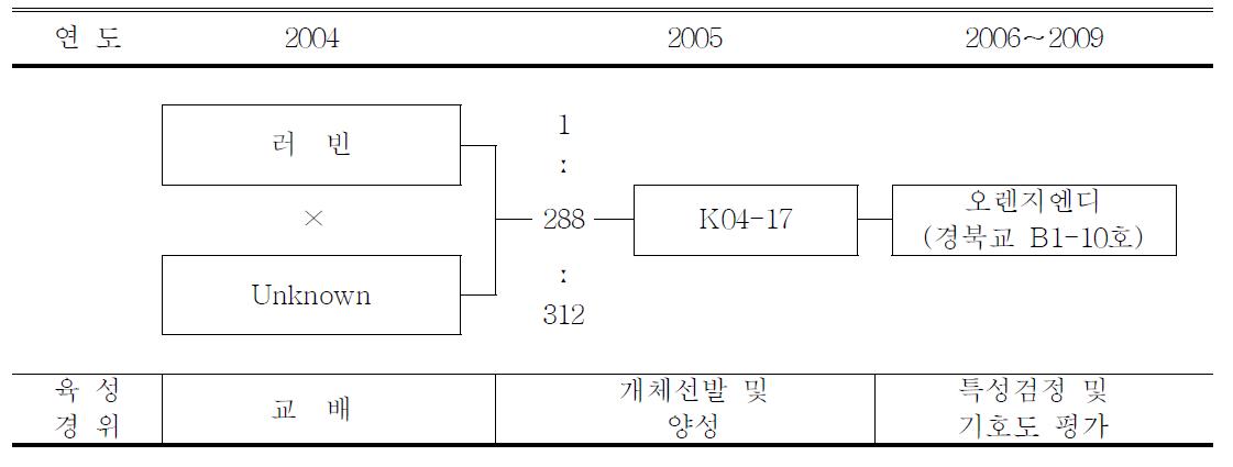 ‘오렌지엔디’ 품종의 육성과정