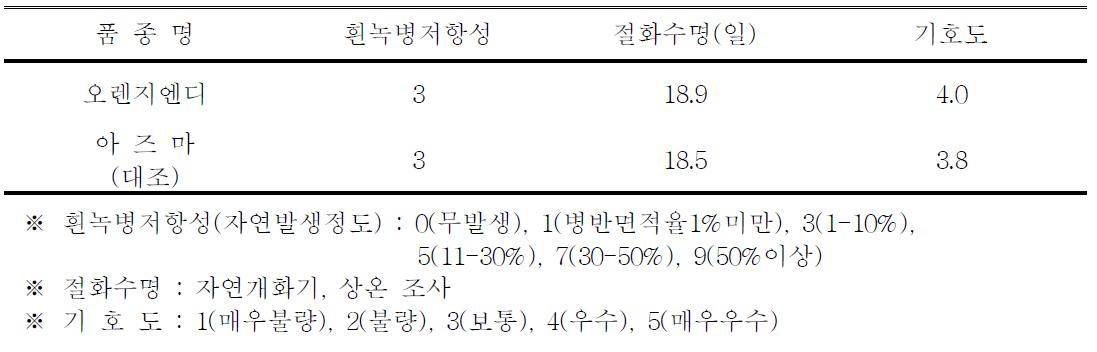 ‘오렌지엔디’ 품종의 흰녹병 저항성, 절화수명 및 기호도