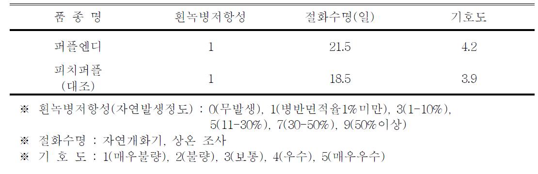 ‘퍼플엔디’ 품종의 흰녹병 저항성, 절화수명 및 기호도