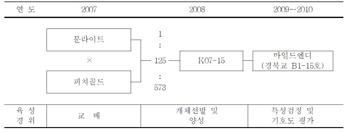 ‘마일드엔디’ 품종의 육성과정