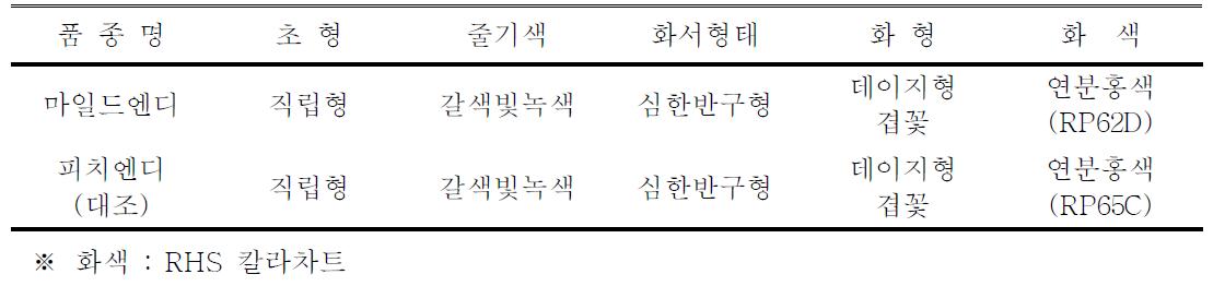 ‘마일드엔디’ 품종의 고유특성