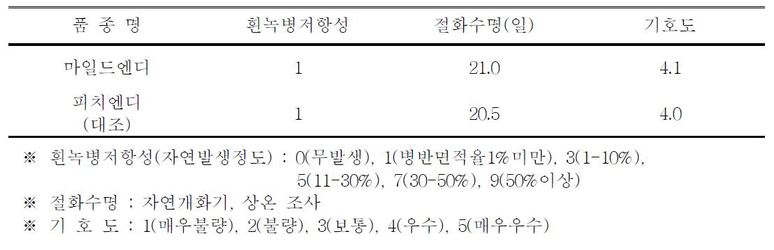 ‘마일드엔디’ 품종의 흰녹병 저항성, 절화수명 및 기호도