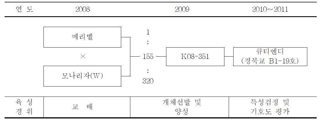 ‘큐티엔디’ 품종의 육성과정