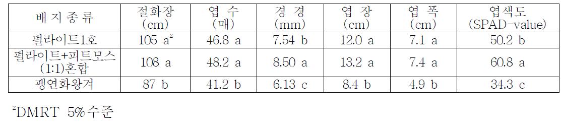 배지종류에 따른 국화 생육특성