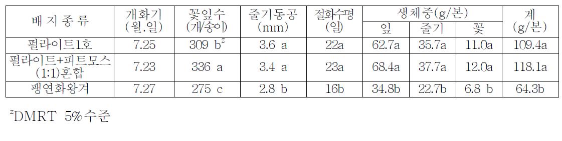 배지종류에 따른 국화 개화 특성