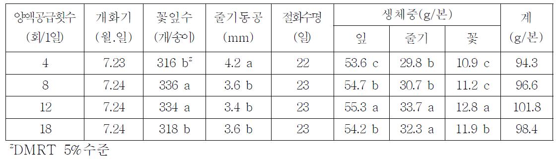 양액공급횟수에 따른 개화 국화 특성