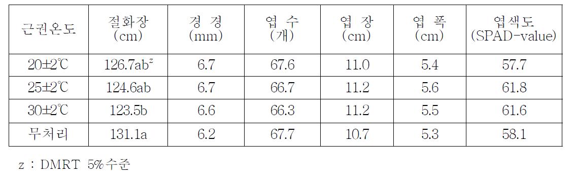 근권온도 처리에 따른 국화 ‘백마’ 생육 특성