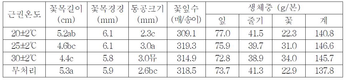 근권온도 처리에 따른 국화 ‘백마’ 개화 특성