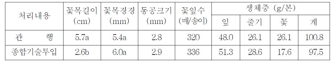 개발기술 종합투입에 따른 국화 ‘백마’ 개화 특성