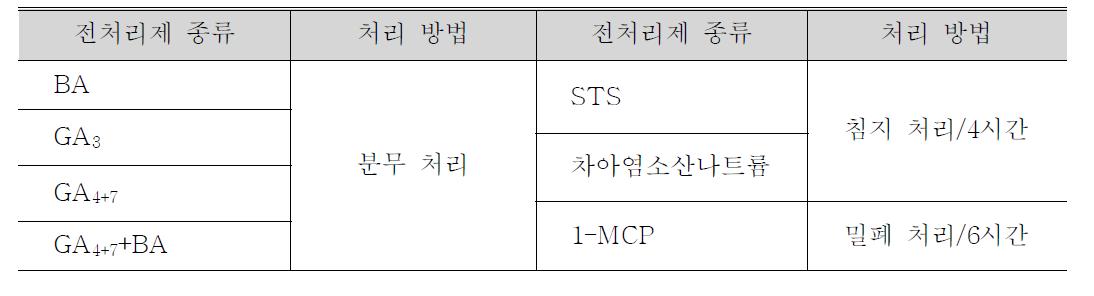 절화 국화 ' 백마' 의 전처리제 종류 및 처리 방법