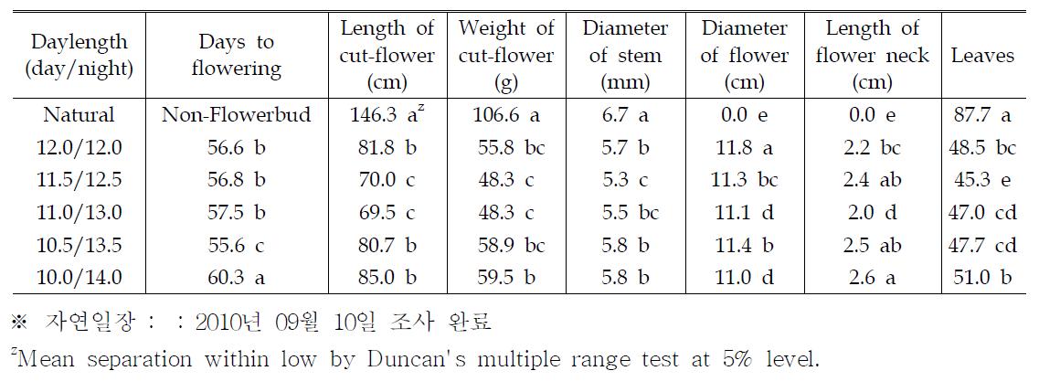 신마품종의 일장시간별 개화기 생육특성