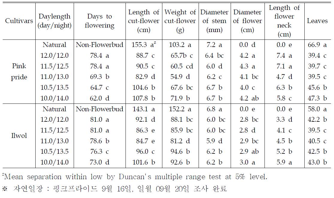 스프레이품종의 일장시간별 개화기 생육특성