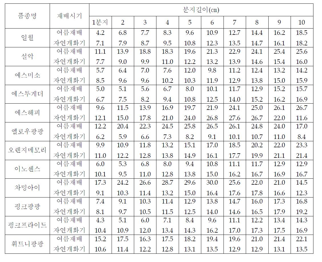 배시기별 분지의 길이 변화