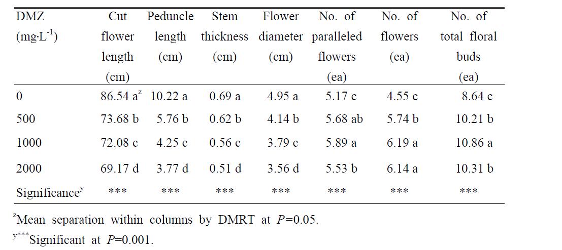 Plant growth and flower development of Dendranthema grandiflorum 'Gama' as influenced by foliar application of daminozide (DMZ) concentration