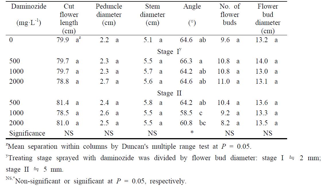 Plant growth and development in Dendranthema grandiflorum ‘Charming Eye’ at 96 days after transplanting as influenced by daminozide and foliar application stage