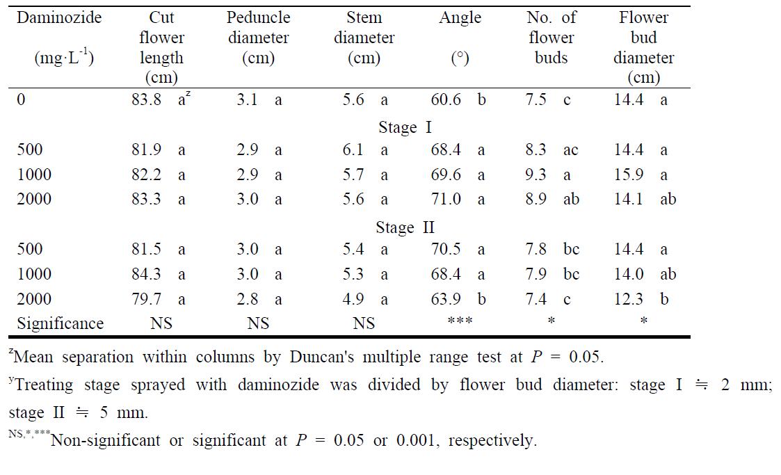 Plant growth and development in Dendranthema grandiflorum ‘Pink Pride’ at 96 days after transplanting as influenced by daminozide and foliar application stage