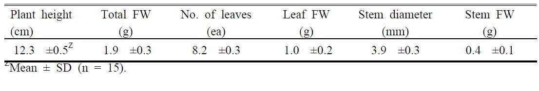 Characteristics of rooted-cuttings of Dendranthema grandiflorum ‘Baekma’ at planting