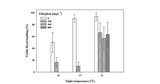 Visible floral budding (%) at 2 days after short-day treatment as influenced by night temperature and ethephon. Bar present ± SE (n = 20).