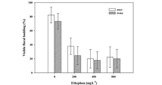 Visible floral budding (%) at 2 days after short-day treatment as influenced by ethephon concentration and frequency. Bar present ± SE (n = 30).