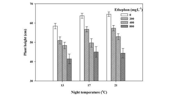 Plant height at 2 days after short-day treatment as influenced by night temperature and ethephon. Bar present ± SE (n = 20).