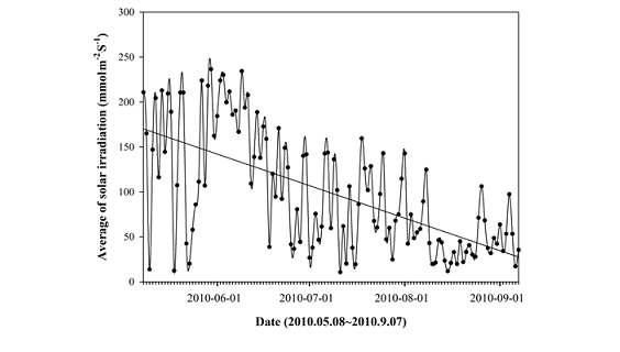 Average of solar irradiation per day in plastic house during experimental period.