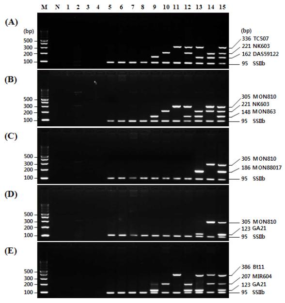 유전자변형 옥수수에 대한 event-specific 프라이머의 특이성을 확인한 유형별 multiplex-PCR 결과.