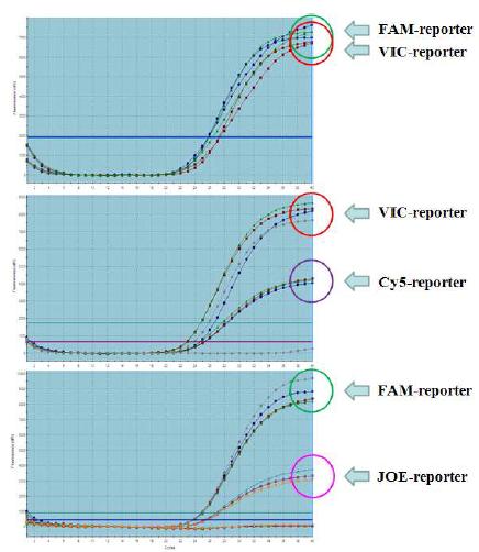 Multiplex real-time PCR 분석을 위한 다양한 형광물질의 감도 확인.