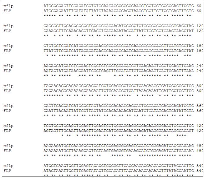 FLP 유전자(FLP)와 변형 FLP 유전자(mFLP)의 서열 비교(N-말단 부위)