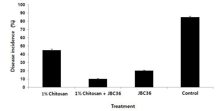Percentage of decay of mandarin fruits coated with chitosan with B. amyloiquefaciens JBC36 at 1×107 cells/ml. Wounded mandarin fruits inoculated with 105 spores/ml of P. digitatum followed by treatment with different concentrations of B. amyloliquefaciens JBC36 after 21 days incubation at 20℃ and 90% RH. Control means green mold only. Columns with the same letter are not significantly different (p < 0.05) according to the LSD. Vertical bars indicate standard deviation.