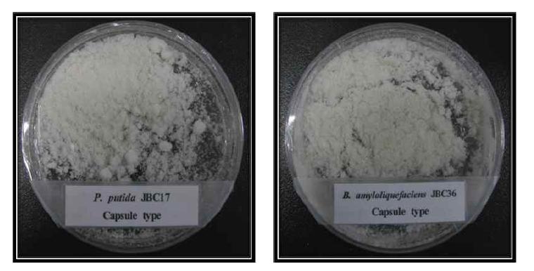 Formulations produced by microcapsulation of biological control agents.