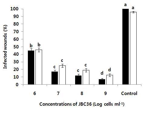 Incidence of green (■) and blue (□) mold on wounded mandarin fruits treated with different concentrations of B. amyloliquefaciens JBC36. Wounded mandarin fruits inoculated with 105 and 106 spores/ml of P. digitatum and P. italicum, respectively, followed by treatment with different concentrations of B. amyloliquefaciens JBC36. Disease incidence was recorded 5 DAI at 20°C and 90% RH. The same letters are not significantly different at P<0.05 according to DMRT. Vertical bars indicate standard deviation of the means.