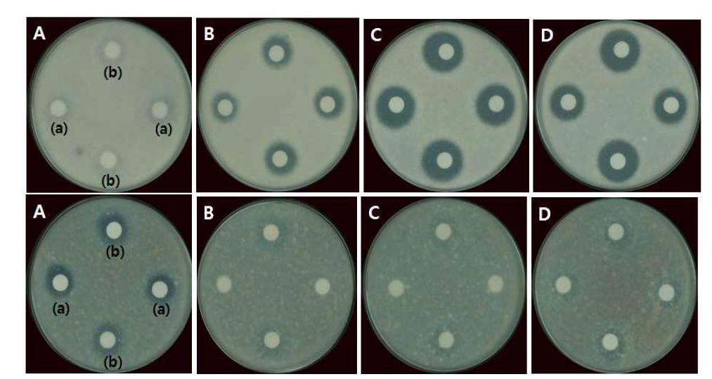 Antifungal activity of B. amyloliquefaciens JBC36 on P. digitatum and P. italicum according to culture resources and pH conditions. CFS was produced from (a) pH 4.5 and (b) pH 6.8 of (A) LB, (B) NYDB, (C) Cheonnyuncho stem powder, and (D) Cheonnyuncho fruit powder.
